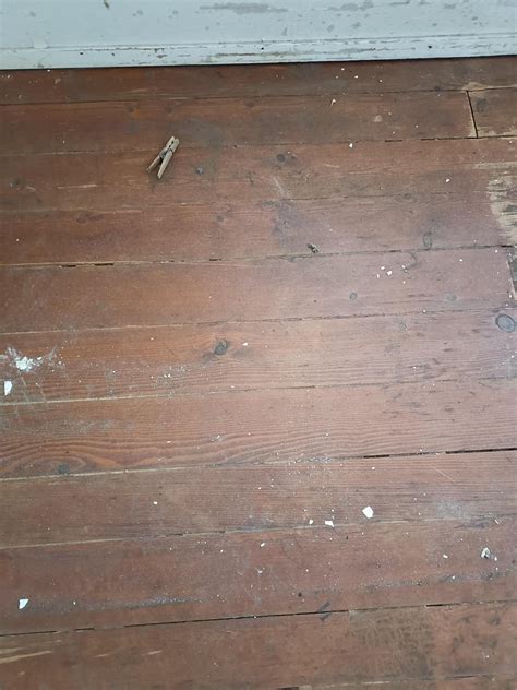 Any way to save this wood? (Black mold) Hardwood floor has had carpet ...