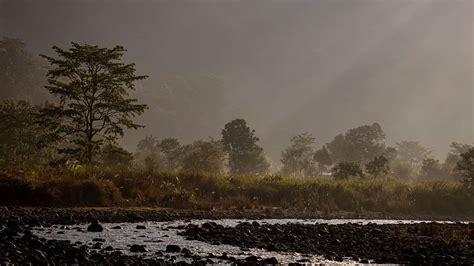 The Jamoon | Resorts In Corbett | Gallery