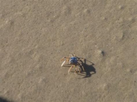 Woodgate Tourism (2023): Best of Woodgate, Australia - Tripadvisor