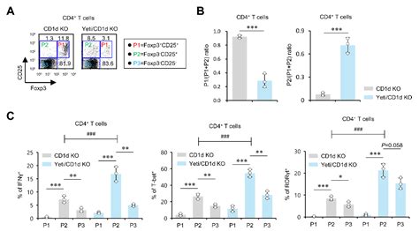 Opposing Roles of DCs and iNKT Cells in the Induction of Foxp3 ...