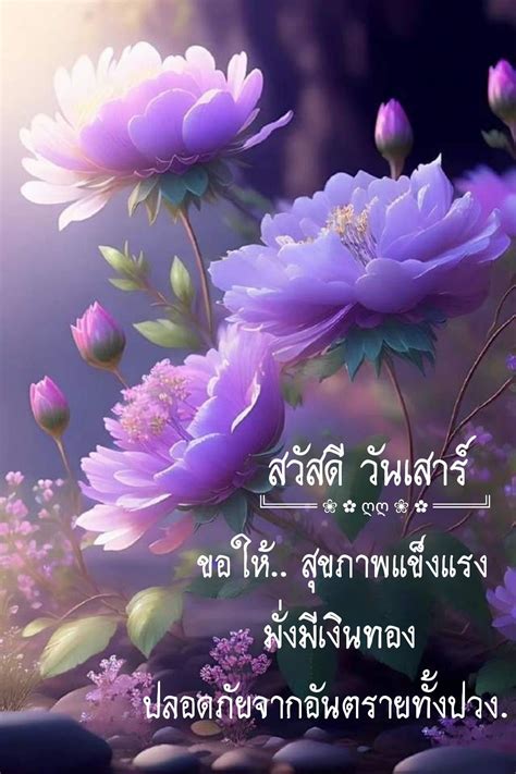 ปักพินโดย à¸§à¸±à¸à¸§à¸´à¸ªà¸²à¸à¹ à¸à¸£ ใน Good day | วันสีเขียว ...