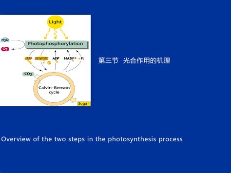 Image result for Python Coding Tutorial