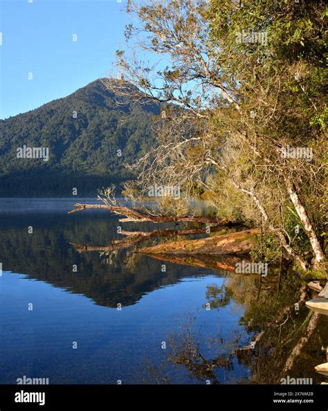 Lake Kaniere Shoreline Reflections in Spring, West Coast, Hokitika, New ...