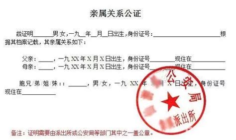 亲子关系证明怎么开？_亲子关系_幼教网