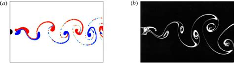 Image result for Dye Flow Visualization