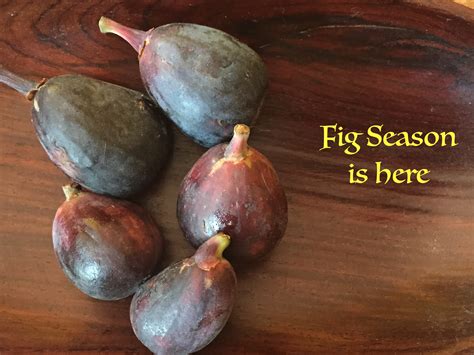 Figs: Making the Most of the Season - Family Eats