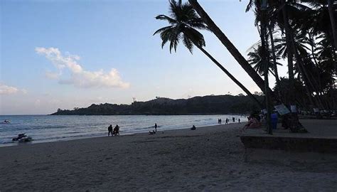 Forest Museum In Andamans That Unveils Nature’s Rich Heritage At the