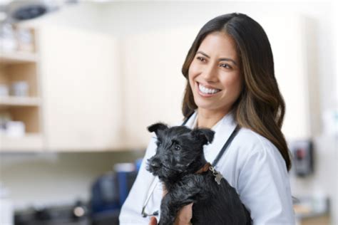 Petco Vital Care Vet Locations at Julie Jinks blog