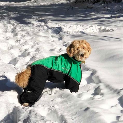 Buy Snowsuit Online In India - Etsy India