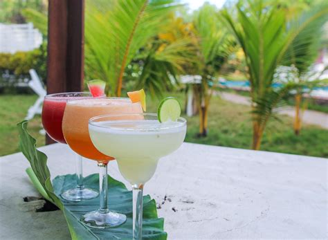 Bebidas para tus vacaciones: Las 10 bebidas más cool para disfrutar en ...