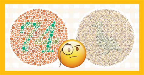 Image result for Test Your Color Perception