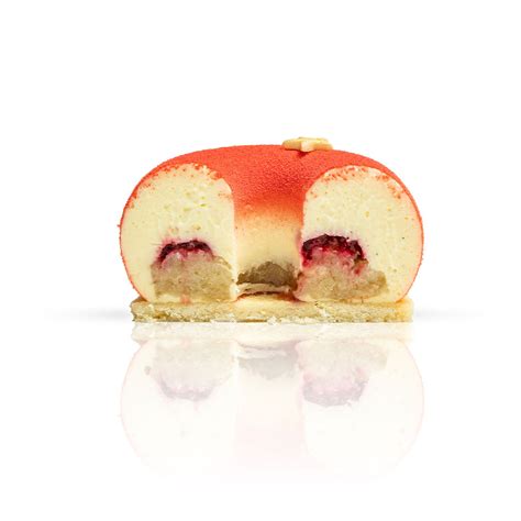 Vanilla Raspberry Petite Entremet – Lavish Patisserie