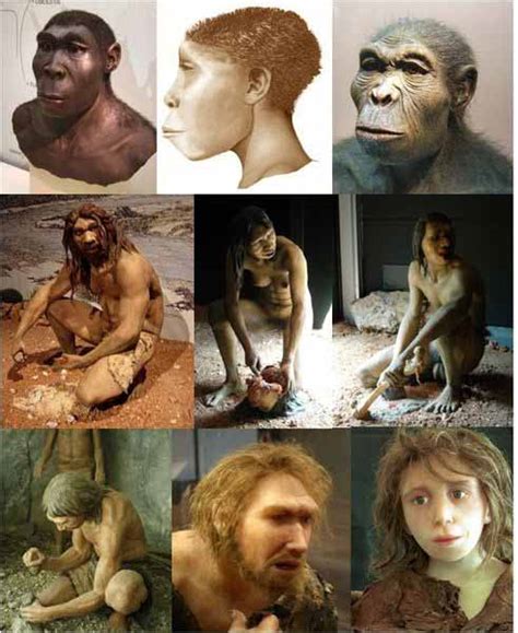 Image result for First Humans