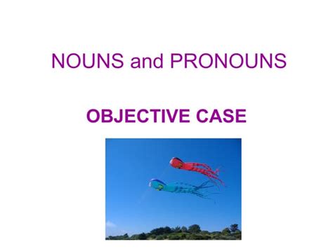 Objective Case Example 的图像结果