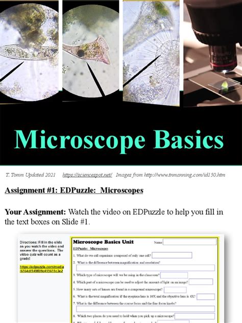 Optical Microscope Basics 的图像结果