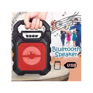 Portable Rechargeable Voice Amplifier with Wired Microphone, Supports ...