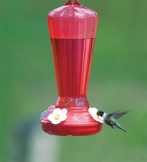More Birds Hollyhock Plastic Hummingbird Feeder
