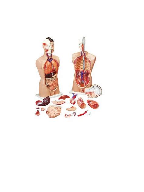 Biology Laboratory Equipment 的图像结果