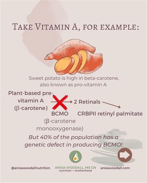Image result for Nutrient Bioavailability