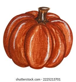 Image result for InDesign Tools Vectors