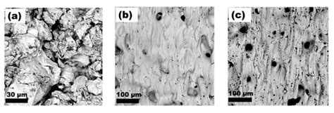 Properties of Cold Sprayed Titanium and Titanium Alloy Coatings after ...