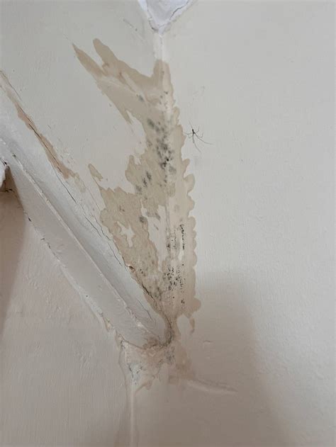 THE DYKE NEUK INN (Morpeth, Northumberland, England) - B&B Reviews ...