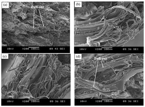 The Role of Zinc Chloride in Enhancing Mechanical, Thermal and ...