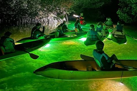 SHARKEY'S GLASS BOTTOM FISH FEEDING LED NIGHT TOUR KEY WEST (2025) All ...