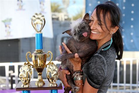 Meet Mr Happy Face: The world's ugliest dog - The Cutest