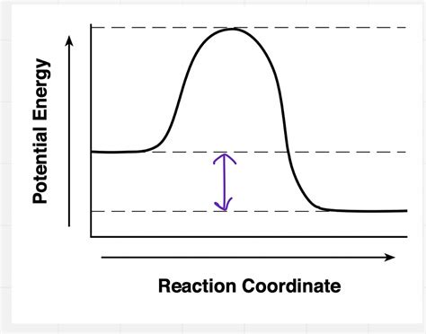 Image result for H2O2 Uses