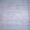 Distinguish between families fabaceae ,solanaceae,liliaceae on the ...