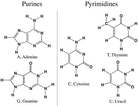 Pyrimidines