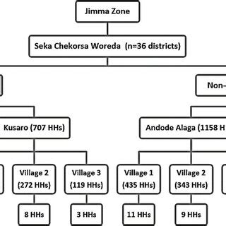 Image result for Multi-Stage Sampling