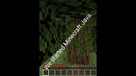 Image result for How to Get Started On Minecraft Java