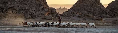 Guida turistica di Gibuti - wheretogo