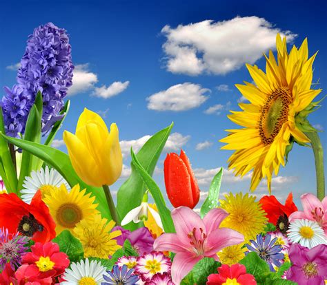 Spring Colorful Wallpapers - WallpaperSafari