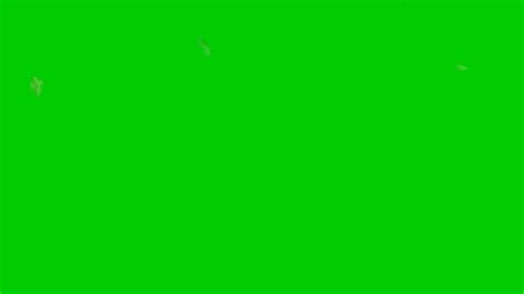 Image result for Greenscreen Flying
