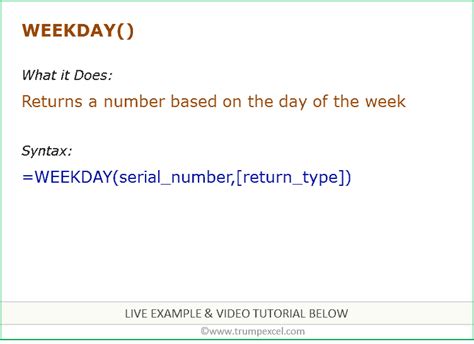 Weekday Function in Excel 的图像结果
