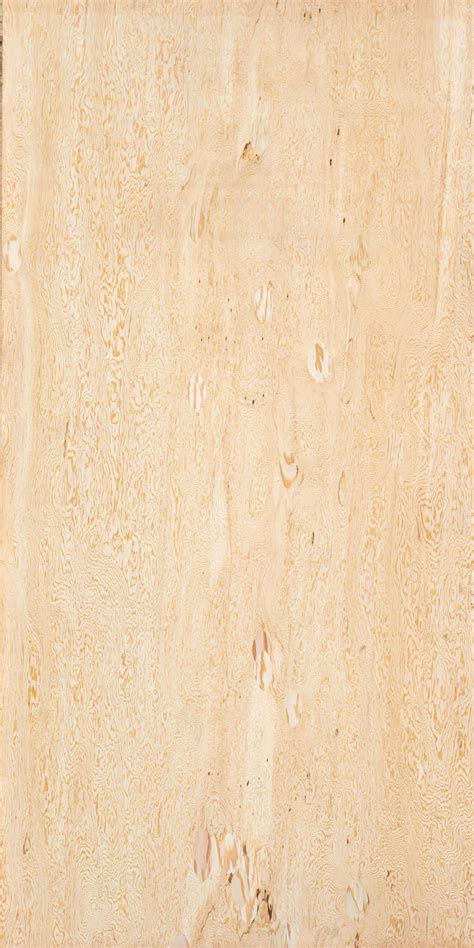 Digital Sample Library | Roseburg