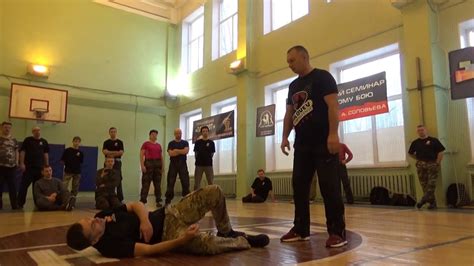 Systema 的图像结果