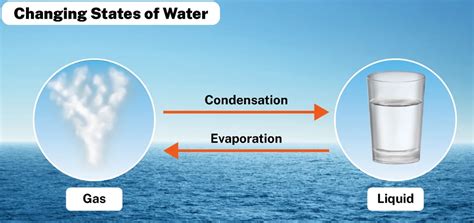 Atmospheric Moisture: Evaporation, Condensation Forms, Rainfall Types ...