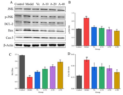 The Preventive Mechanism of Anserine on Tert-Butyl Hydroperoxide ...