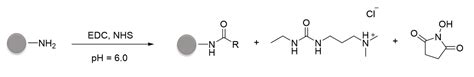 Multifunctional, CD44v6-Targeted ORMOSIL Nanoparticles Enhance Drugs ...