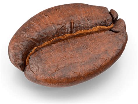 Elenita Cafe - Spezialitätenkaffees - direkt gehandelt und frisch geröstet.