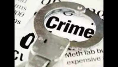 Fallout of Y’nagar triple murder: 9 cops sacked | Chandigarh News ...