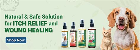 Buy Dog and cat Medicines | – Pet Natural Remedies