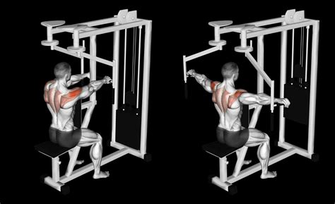 Machine Reverse Fly: Guide, Muscles Worked, Tips | Athlemove