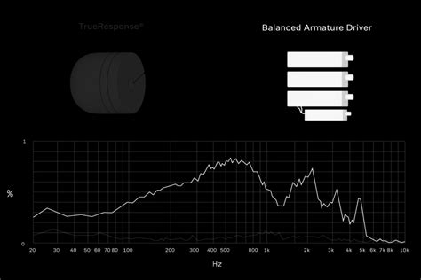 Image result for In-Ear Dynamic Systems Examples