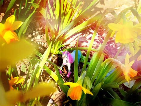Learn about unicorn habitats and how you can spot them anywhere.