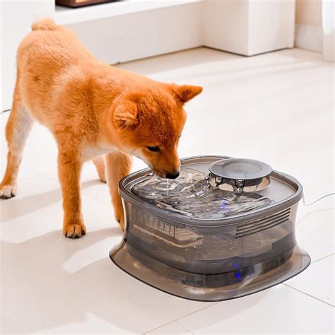 5L Automatic Pet Water Fountain for Dogs & Cats | Wireless Infrared ...